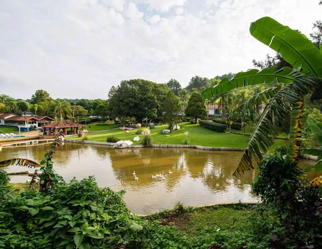 AnyConv.com__Design sem nome (19)