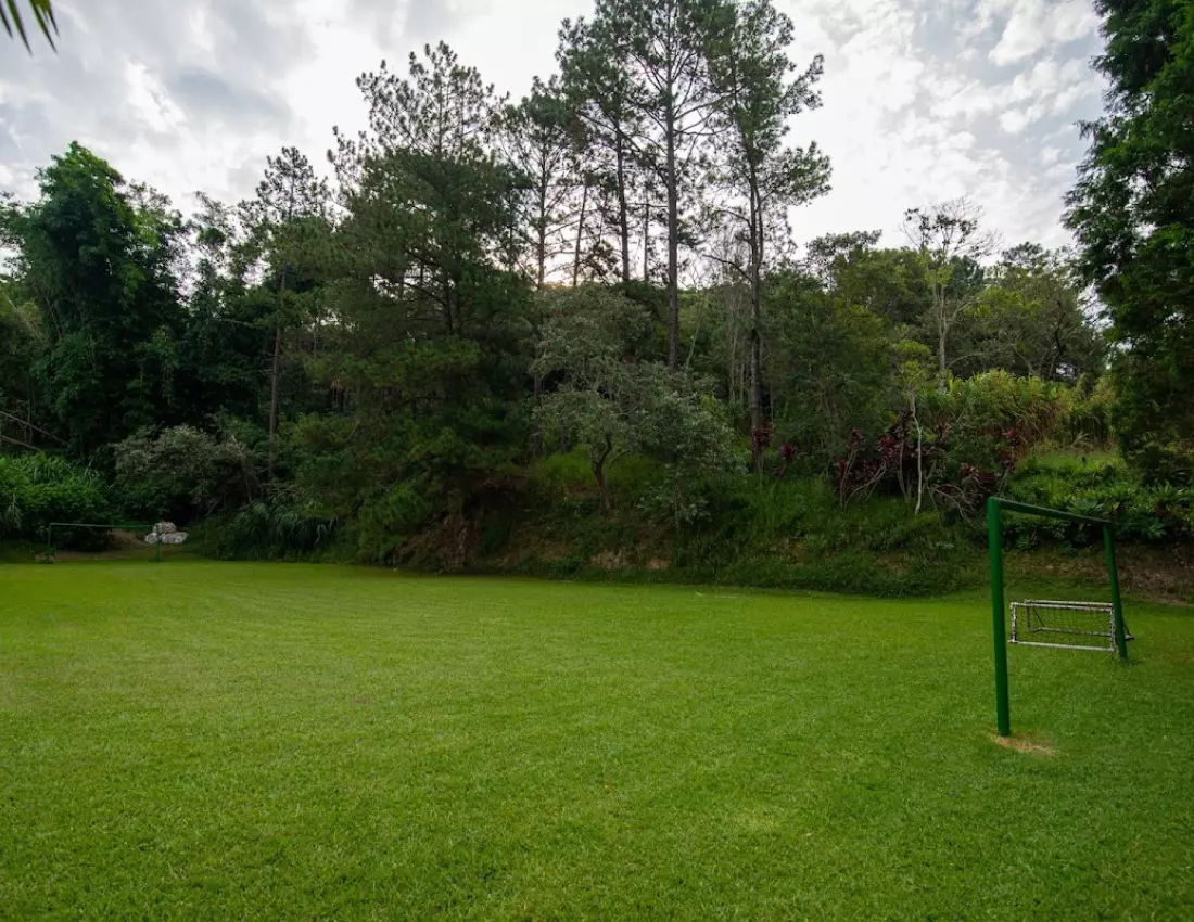 AnyConv.com__Design sem nome (21)