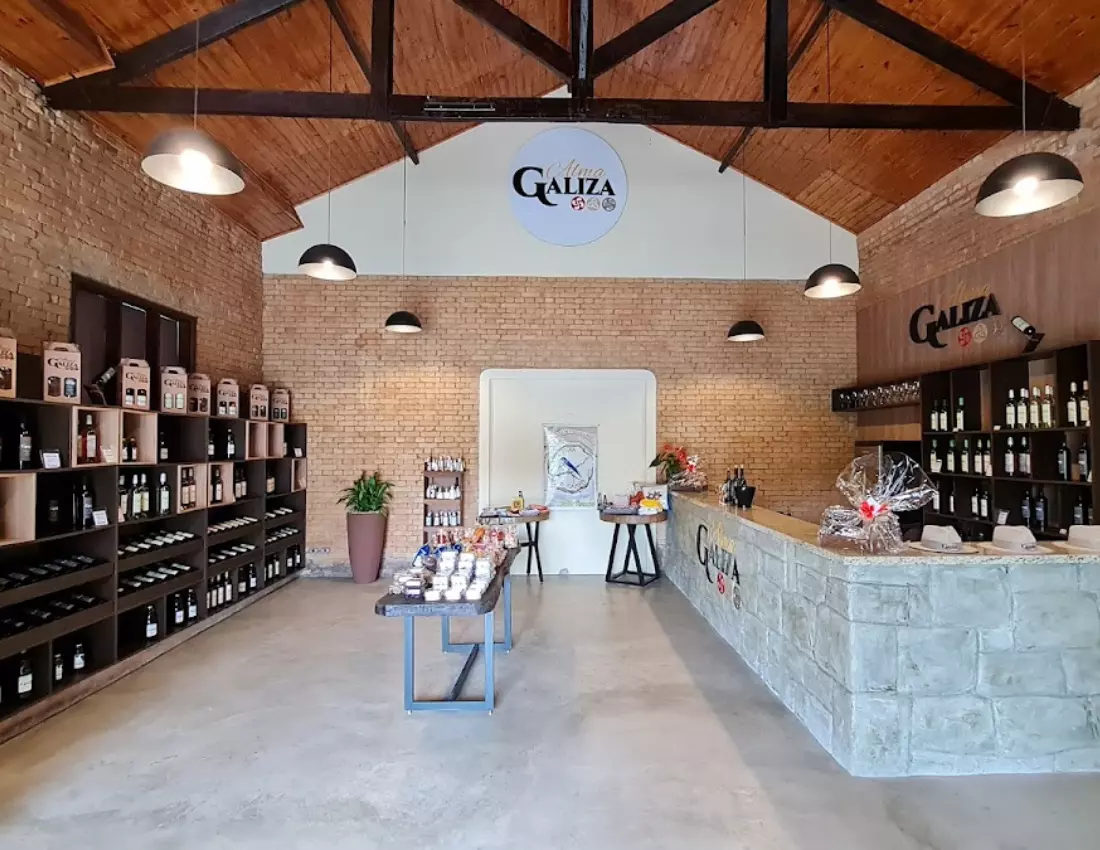 AnyConv.com__Design sem nome (3)