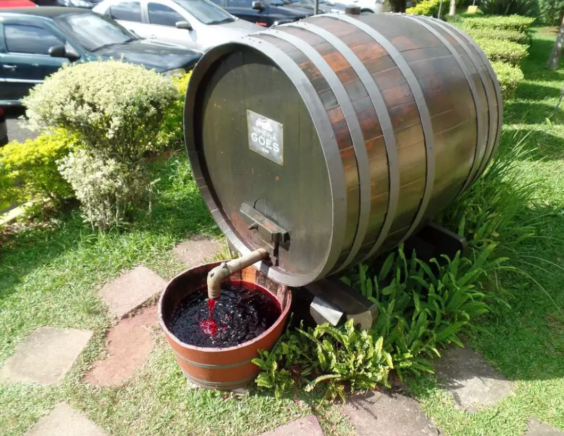 AnyConv.com__Design sem nome (7) (1)